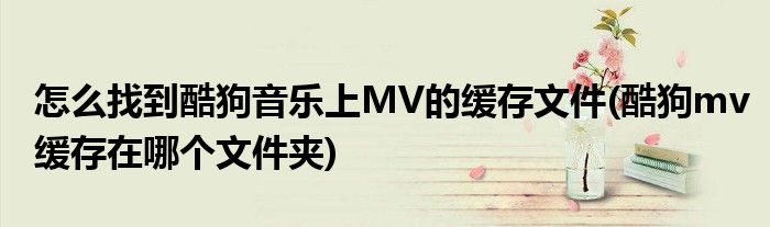 怎么找到酷狗音樂上MV的緩存文件(酷狗mv緩存在哪個(gè)文件夾)