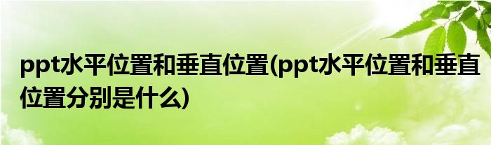 ppt水平位置和垂直位置(ppt水平位置和垂直位置分別是什么)