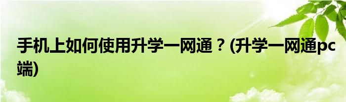 手機(jī)上如何使用升學(xué)一網(wǎng)通？(升學(xué)一網(wǎng)通pc端)