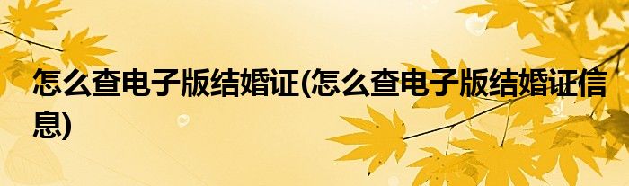 怎么查電子版結(jié)婚證(怎么查電子版結(jié)婚證信息)