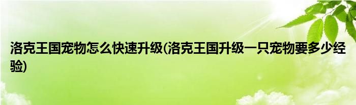 洛克王國寵物怎么快速升級(jí)(洛克王國升級(jí)一只寵物要多少經(jīng)驗(yàn))