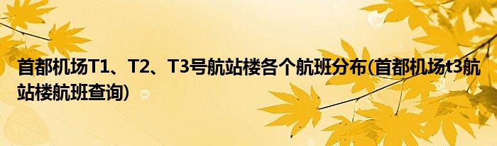 首都機場T1、T2、T3號航站樓各個航班分布(首都機場t3航站樓航班查詢)