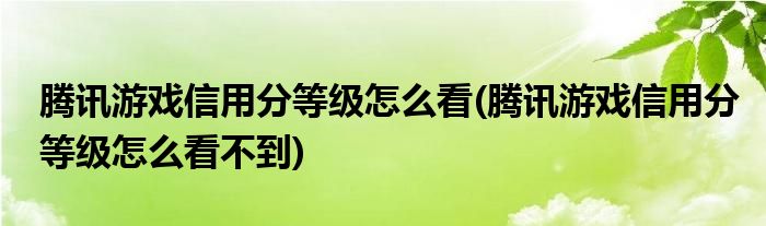 騰訊游戲信用分等級(jí)怎么看(騰訊游戲信用分等級(jí)怎么看不到)