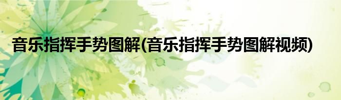 音樂指揮手勢圖解(音樂指揮手勢圖解視頻)