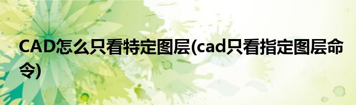 CAD怎么只看特定圖層(cad只看指定圖層命令)