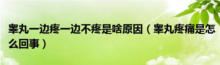 睪丸一邊疼一邊不疼是啥原因（睪丸疼痛是怎么回事）