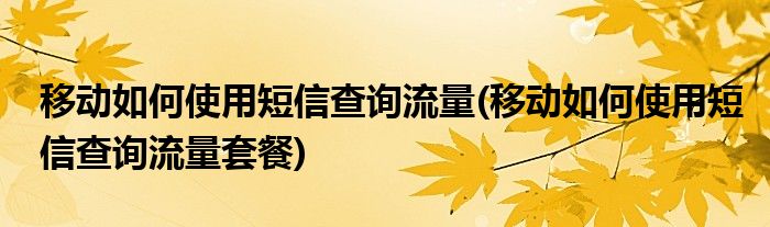 移動如何使用短信查詢流量(移動如何使用短信查詢流量套餐)