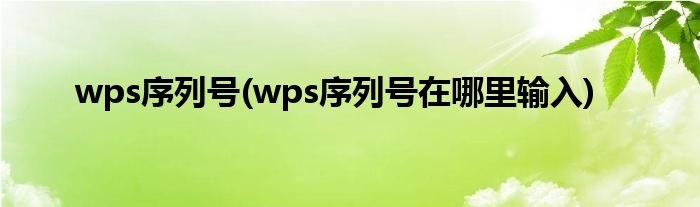 wps序列號(wps序列號在哪里輸入)