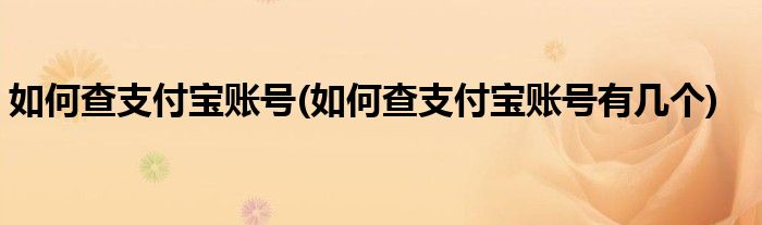 如何查支付寶賬號(hào)(如何查支付寶賬號(hào)有幾個(gè))