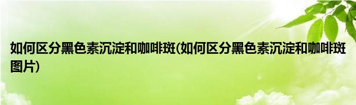 如何區(qū)分黑色素沉淀和咖啡斑(如何區(qū)分黑色素沉淀和咖啡斑圖片)