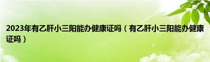 2023年有乙肝小三陽能辦健康證嗎（有乙肝小三陽能辦健康證嗎）