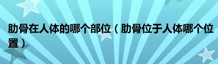 肋骨在人體的哪個(gè)部位（肋骨位于人體哪個(gè)位置）