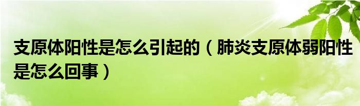 支原體陽性是怎么引起的（肺炎支原體弱陽性是怎么回事）