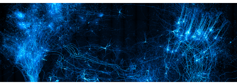 神經(jīng)元全腦成像和重建的新平臺