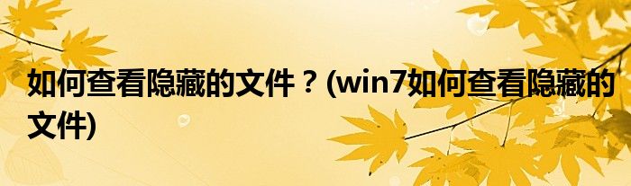 如何查看隱藏的文件？(win7如何查看隱藏的文件)