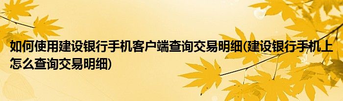 如何使用建設銀行手機客戶端查詢交易明細(建設銀行手機上怎么查詢交易明細)