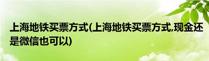 上海地鐵買票方式(上海地鐵買票方式,現(xiàn)金還是微信也可以)