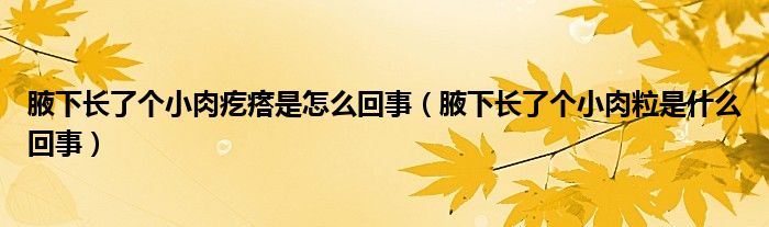 腋下長(zhǎng)了個(gè)小肉疙瘩是怎么回事（腋下長(zhǎng)了個(gè)小肉粒是什么回事）