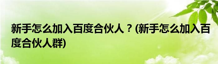 新手怎么加入百度合伙人？(新手怎么加入百度合伙人群)