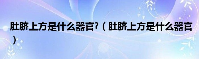 肚臍上方是什么器官?（肚臍上方是什么器官）