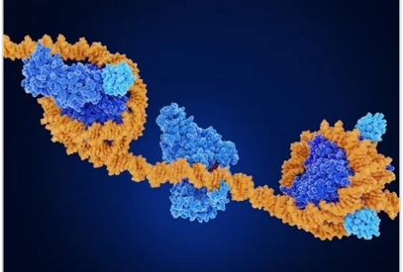 研究揭示生活方式選擇和 DNA 甲基化在胃腫瘤風(fēng)險(xiǎn)中的相互作用