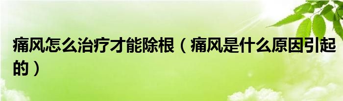 痛風怎么治療才能除根（痛風是什么原因引起的）