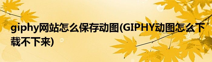 giphy網(wǎng)站怎么保存動(dòng)圖(GIPHY動(dòng)圖怎么下載不下來)