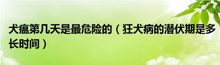 犬瘟第幾天是最危險(xiǎn)的（狂犬病的潛伏期是多長(zhǎng)時(shí)間）