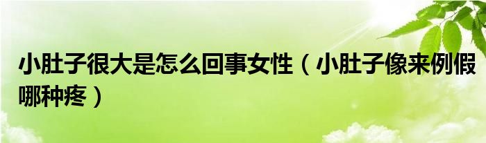 小肚子很大是怎么回事女性（小肚子像來例假哪種疼）