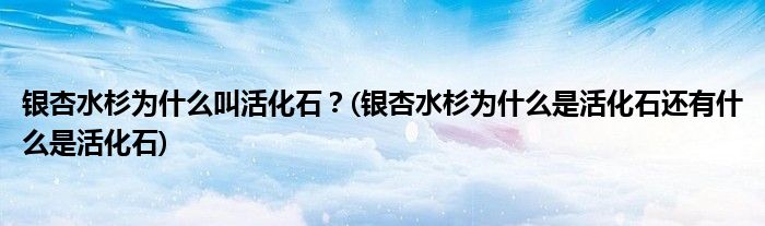 銀杏水杉為什么叫活化石？(銀杏水杉為什么是活化石還有什么是活化石)