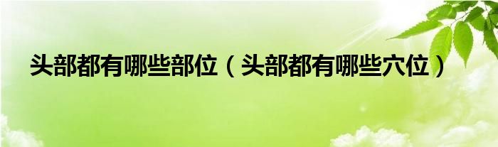 頭部都有哪些部位（頭部都有哪些穴位）