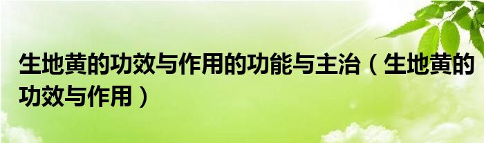 生地黃的功效與作用的功能與主治（生地黃的功效與作用）