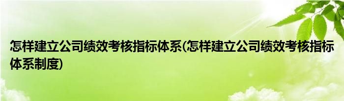 怎樣建立公司績效考核指標(biāo)體系(怎樣建立公司績效考核指標(biāo)體系制度)