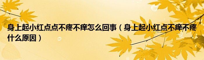 身上起小紅點(diǎn)點(diǎn)不疼不癢怎么回事（身上起小紅點(diǎn)不癢不疼什么原因）