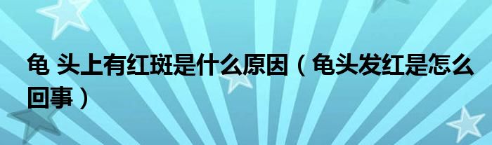 龜 頭上有紅斑是什么原因（龜頭發(fā)紅是怎么回事）