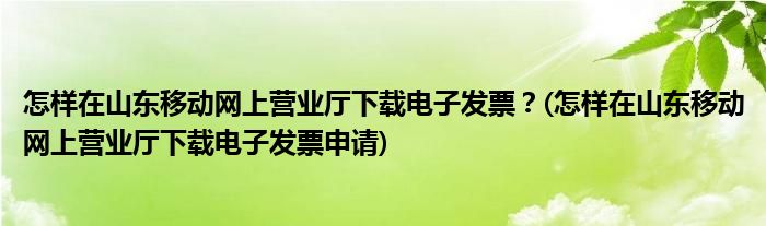 怎樣在山東移動網(wǎng)上營業(yè)廳下載電子發(fā)票？(怎樣在山東移動網(wǎng)上營業(yè)廳下載電子發(fā)票申請)