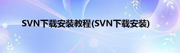 SVN下載安裝教程(SVN下載安裝)