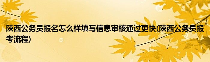 陜西公務(wù)員報(bào)名怎么樣填寫(xiě)信息審核通過(guò)更快(陜西公務(wù)員報(bào)考流程)