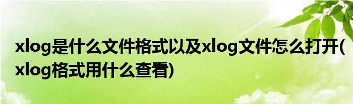 xlog是什么文件格式以及xlog文件怎么打開(xlog格式用什么查看)