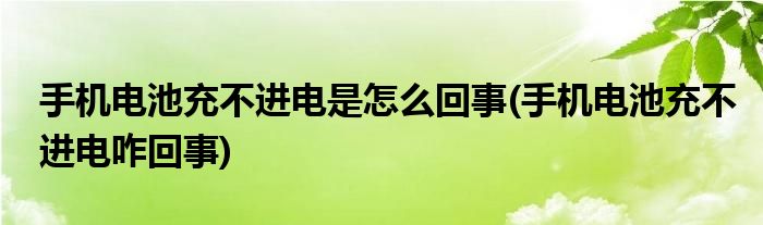 手機電池充不進(jìn)電是怎么回事(手機電池充不進(jìn)電咋回事)