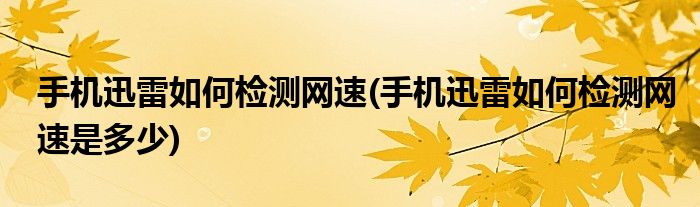 手機迅雷如何檢測網(wǎng)速(手機迅雷如何檢測網(wǎng)速是多少)