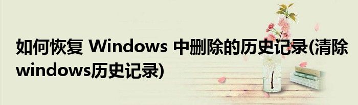 如何恢復(fù) Windows 中刪除的歷史記錄(清除windows歷史記錄)