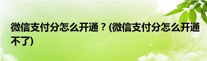 微信支付分怎么開通？(微信支付分怎么開通不了)