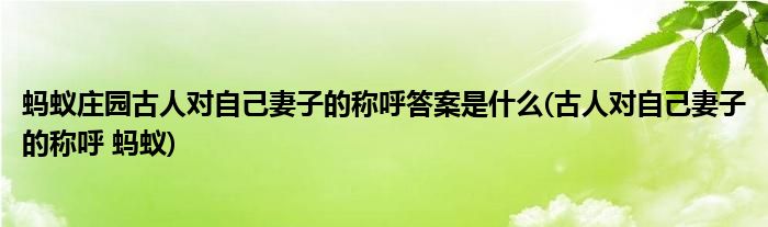 螞蟻莊園古人對自己妻子的稱呼答案是什么(古人對自己妻子的稱呼 螞蟻)