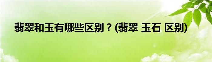 翡翠和玉有哪些區(qū)別？(翡翠 玉石 區(qū)別)