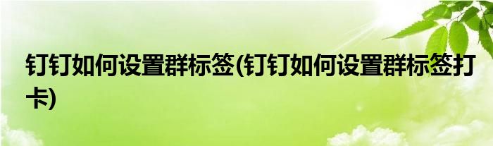 釘釘如何設置群標簽(釘釘如何設置群標簽打卡)