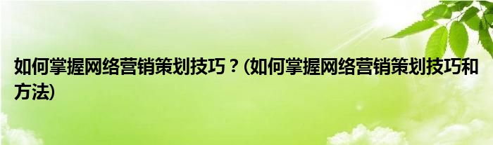 如何掌握網(wǎng)絡(luò)營(yíng)銷策劃技巧？(如何掌握網(wǎng)絡(luò)營(yíng)銷策劃技巧和方法)