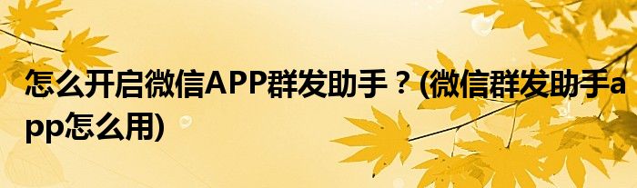 怎么開啟微信APP群發(fā)助手？(微信群發(fā)助手app怎么用)