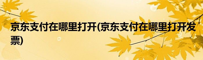 京東支付在哪里打開(京東支付在哪里打開發(fā)票)