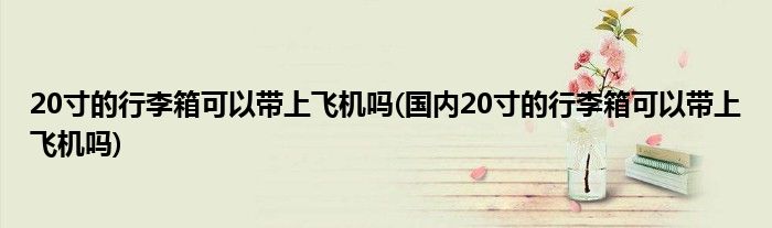 20寸的行李箱可以帶上飛機嗎(國內(nèi)20寸的行李箱可以帶上飛機嗎)